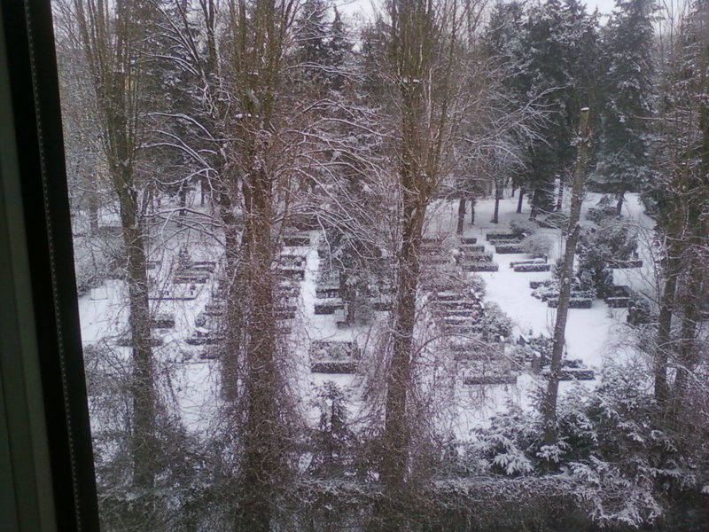  view-snow.jpg 